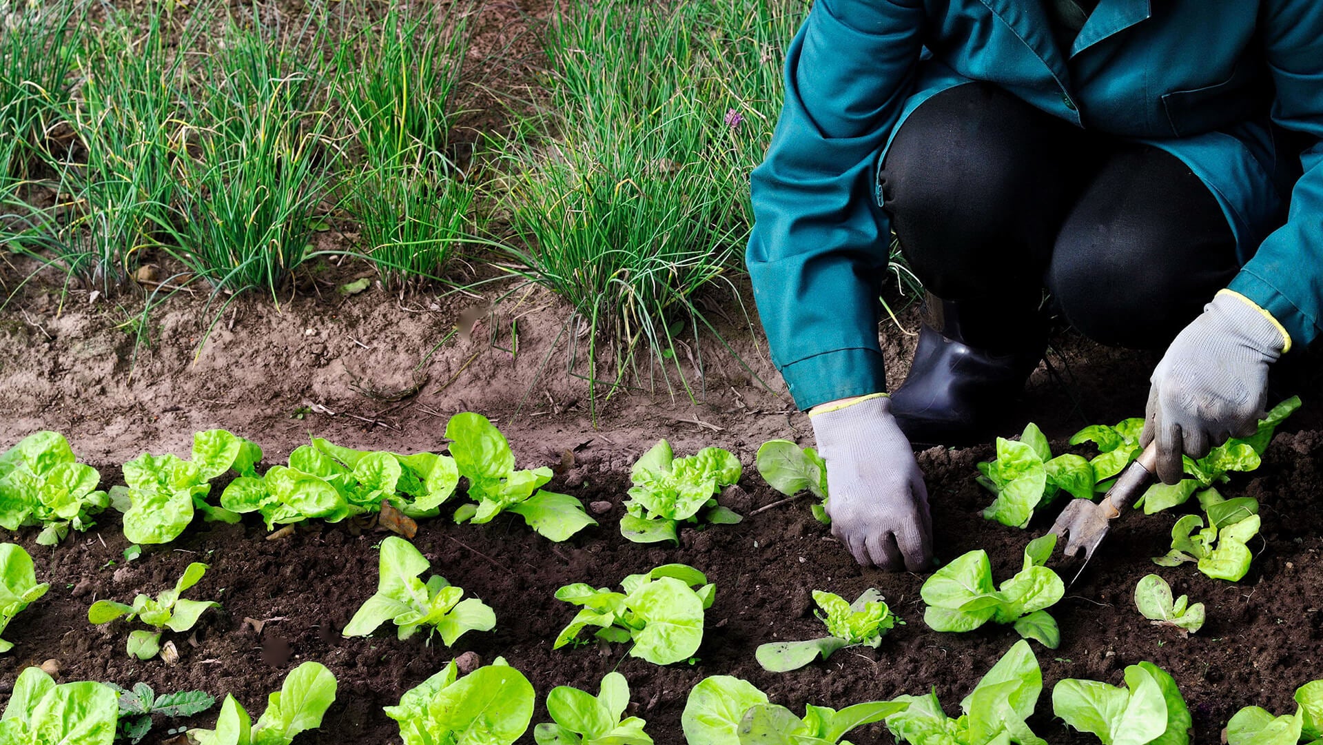 Gardening keeps soil healthly