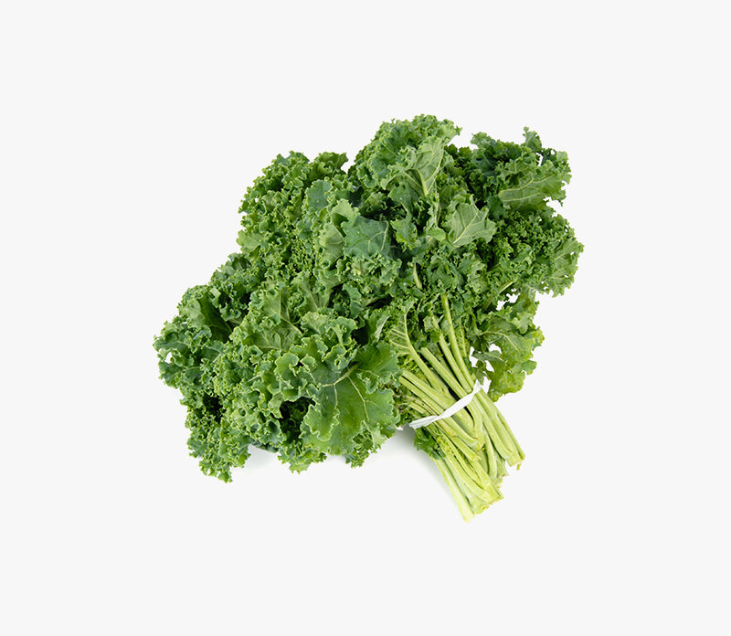 Coriander