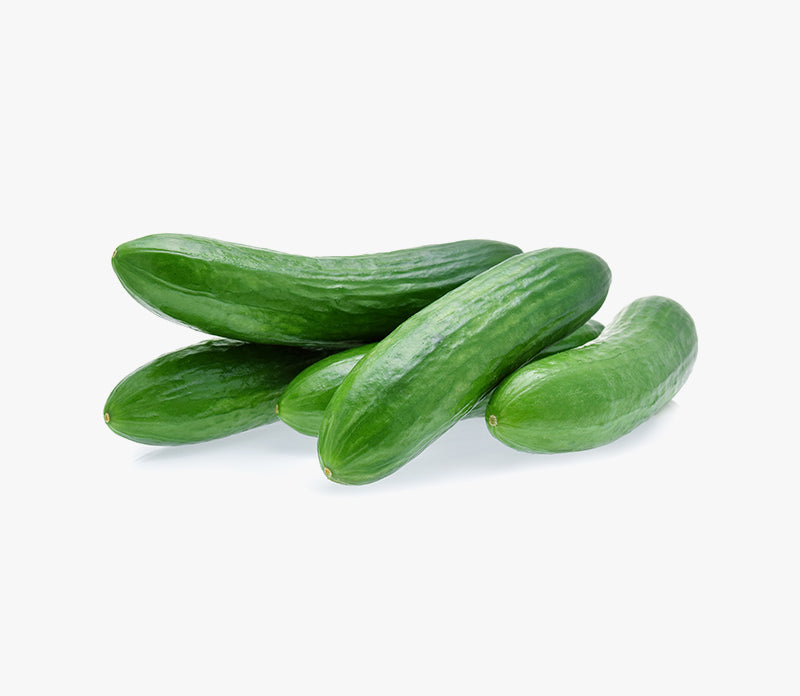Cucumber