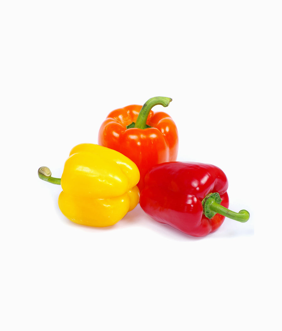 Capsicum