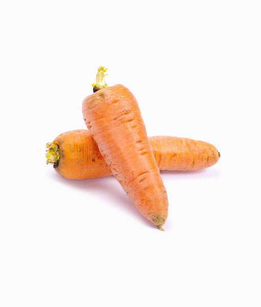 Carrot