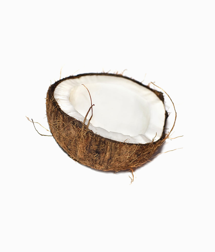 Coconut