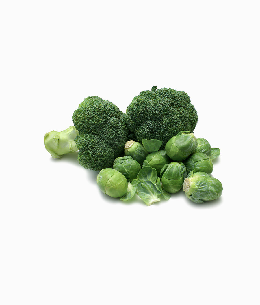 Broccoli